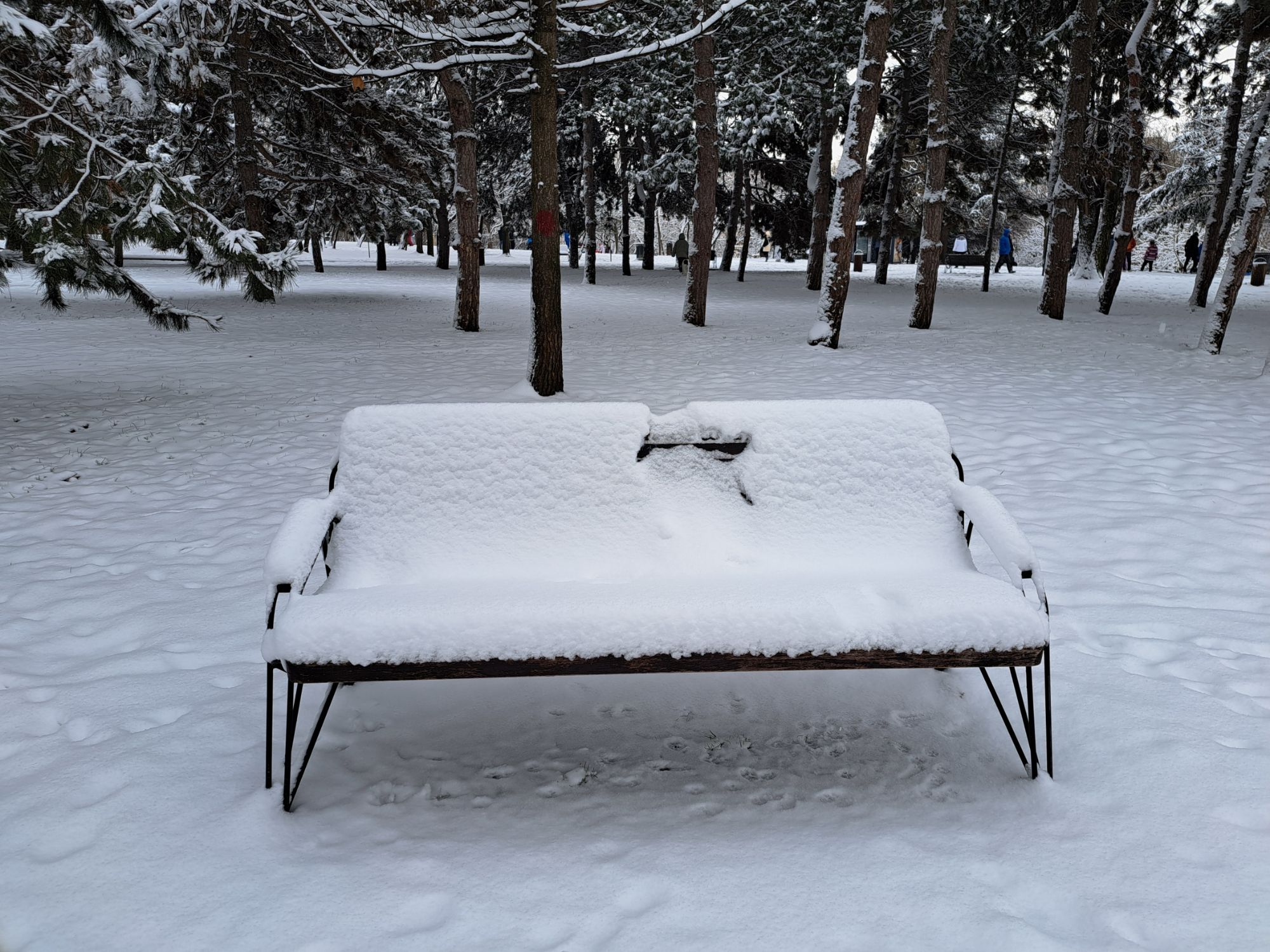 O căsuță cu acoperișul roșu